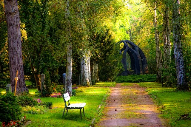 garden